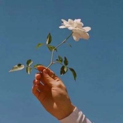 三日死最新版下载