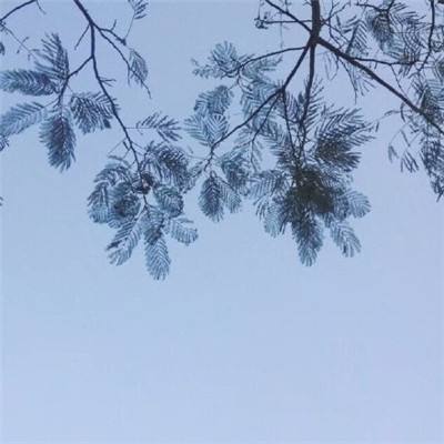 荣耀合击单机传世手游下载